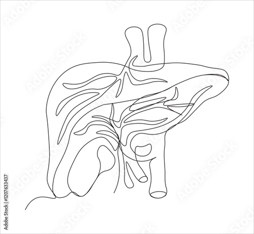 One continuous line drawing of human liver organs. single line of liver drawing.  illustration of liver anatomy concept. editable outline