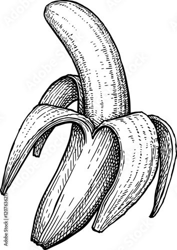 Half-peeled banana ink sketch