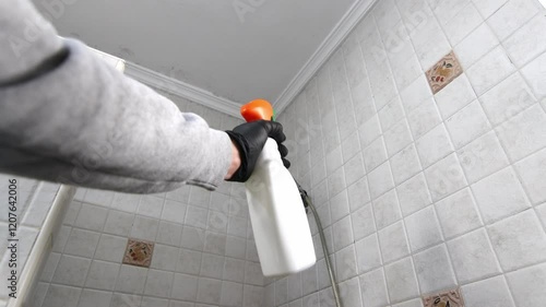 A man with latex gloves cleans mould from tiles and ceiling in the bathroom with a sprayer. Damp and condensation problem in homes. photo