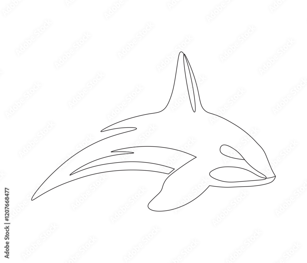 Obraz premium Continuous one line drawing of orca whale. Single line drawing illustration of whale killer fish. Logo,symbols and design style Concept vector art. Doodle line illustration.