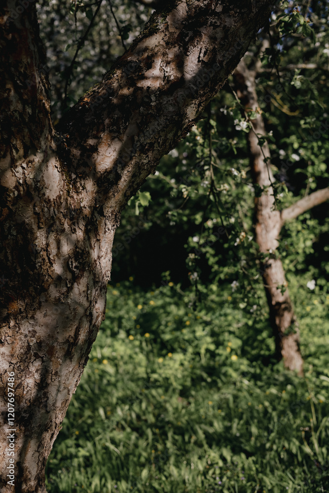 A fragment of a tree trunk with bark in the shade and sun glare. In the background are green leaves and grass, creating an atmosphere of forest freshness. A fragment of a tree trunk with bark in the shade and sun glare. In the background are green leaves and grass, creating an atmosphere of forest freshness.