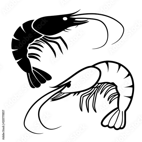 shrimp vector illustration on white background