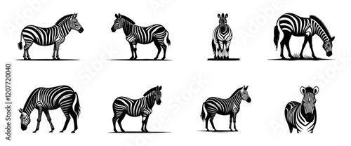 zebra silhouette set, isolated background