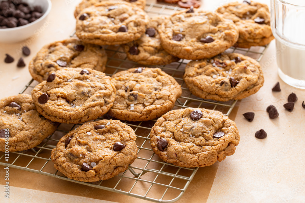 Chocolate chip cookies with pecan nuts, freshly baked cookies on a cooling rack Chocolate chip cookies with pecan nuts, freshly baked cookies on a cooling rack