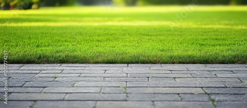 Lush green grass lawn on gray stone pavement with empty space for text, captured from a low angle in natural daylight.