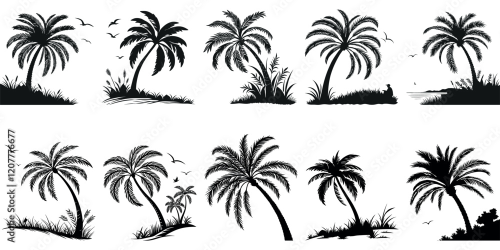 Set Palm tree isolated on transparent background vector format Set Palm tree isolated on transparent background vector format