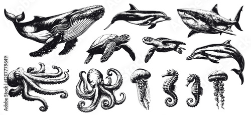 Ocean animals engraving. Hand drawn sea creatures dolphin shark octopus turtle sea horse jellyfish whale set vector illustration