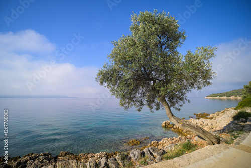 The coast near Cres on a sunny day