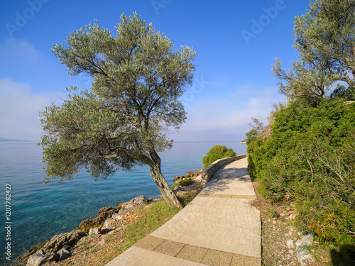 The coast near Cres on a sunny day