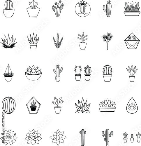 Succulents, Cacti, and Potted Plants A Line Art Collection