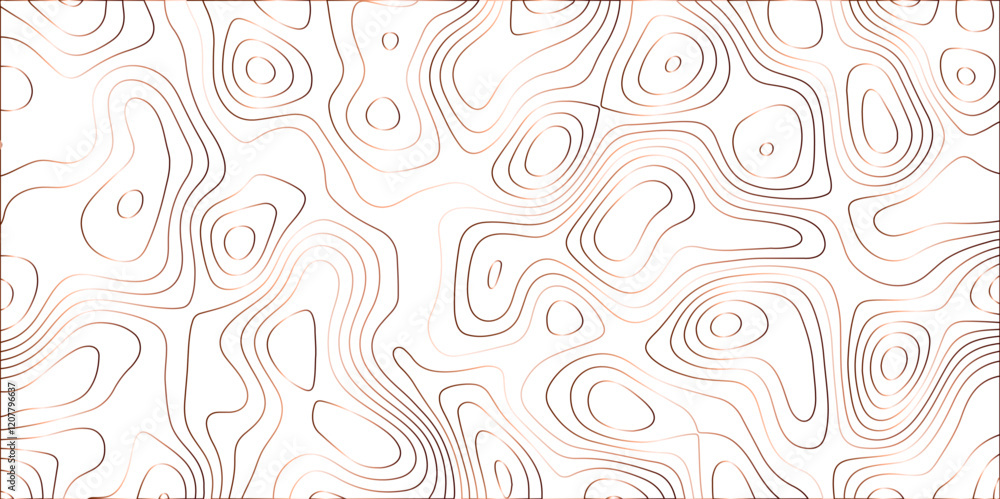 Topographic canyon geometric map relief texture with curved layers and shadow. abstract White background with a beautiful pattern, Topographic contour lines vector map seamless pattern vector. Topographic canyon geometric map relief texture with curved layers and shadow. abstract White background with a beautiful pattern, Topographic contour lines vector map seamless pattern vector.