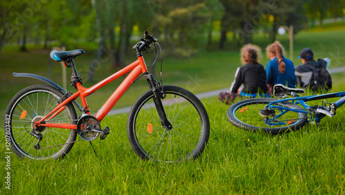 Two mountain bikes parked on a grassy hill with blurry people sitting in the background enjoying the park