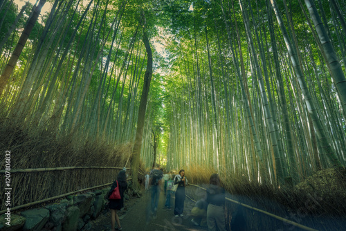 View of Bamboo walkway, Sagatenryuji Tateishicho, Ukyo Ward, Kyoto, Honshu, Japan photo