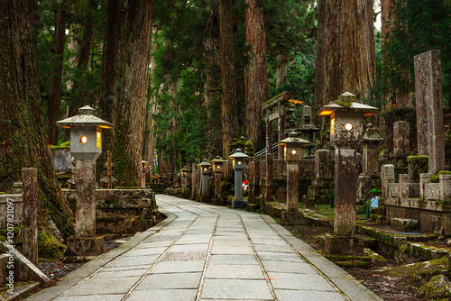 Stone lanterns in deep forest, Buddhist cemetery of Oku-no-in, Koyasan (Koya-san), Kansai, Honshu, Japan photo