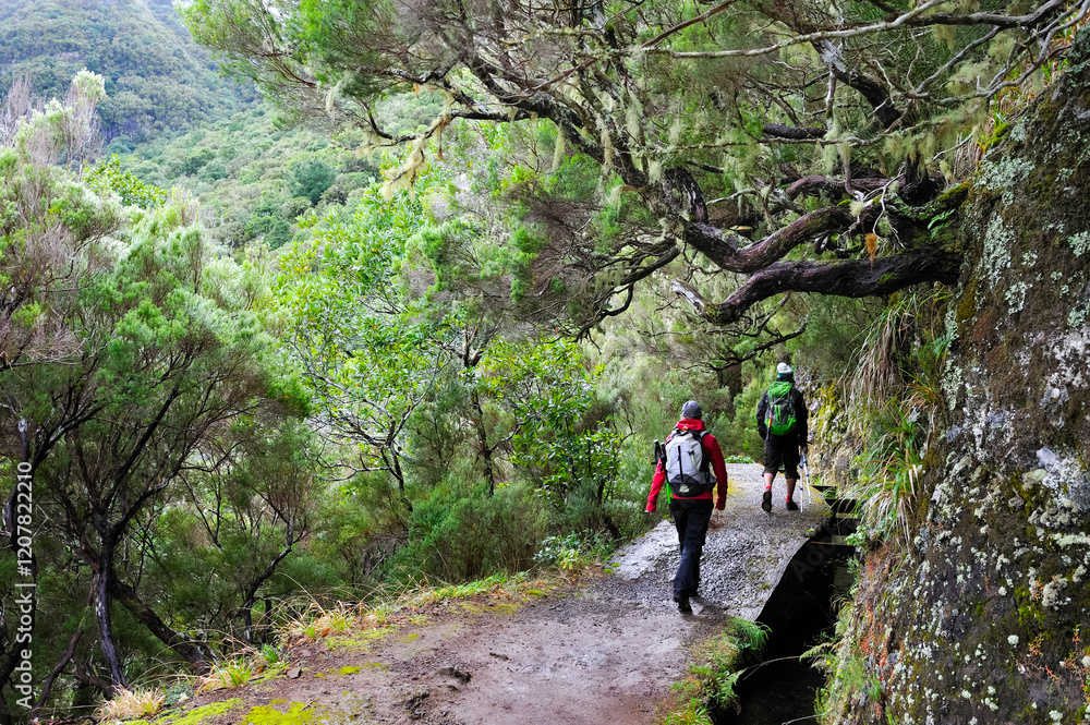 Hikers on Rabacal levada walk towards the 25 Fountains cirque, Madeira island, Atlantic Ocean, Portugal Hikers on Rabacal levada walk towards the 25 Fountains cirque, Madeira island, Atlantic Ocean, Portugal