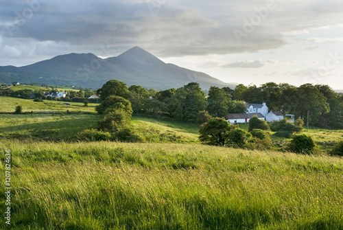 Countryside around Wesport, with Croagh Patrick in background, County Mayo, Connacht, Republic of Ireland