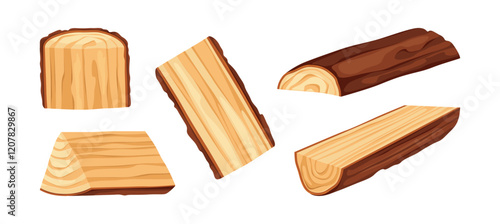 Woodworking and carpentry industry and materials for construction. Vector isolated tree log with bark cut in half. Natural oak for handmade or craft, woodwork boards, textured icons design