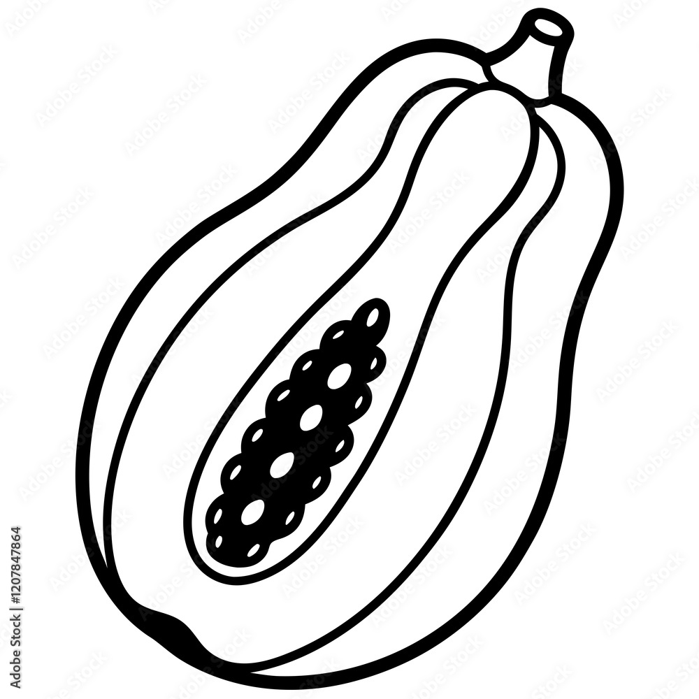 Papaya Contour Vector Illustration Papaya Contour Vector Illustration