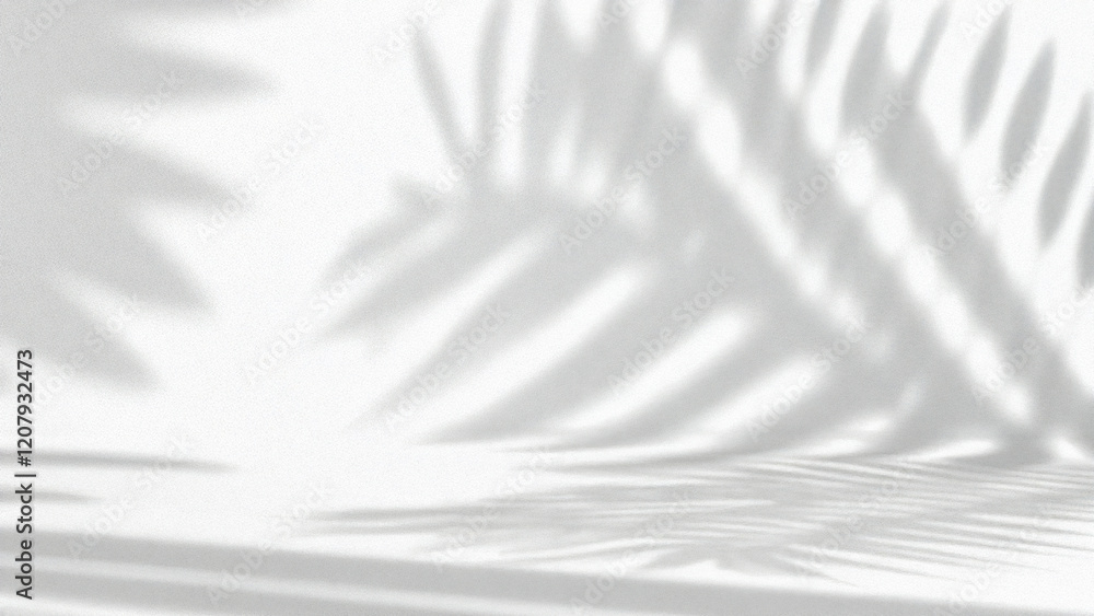 Minimalist tropical palm shadow on white background for modern branding and natural lifestyle designs or creative summer mock-up. Neutral tropical palm mockup on light backdrop Minimalist tropical palm shadow on white background for modern branding and natural lifestyle designs or creative summer mock-up. Neutral tropical palm mockup on light backdrop