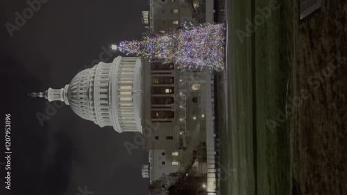 Vertical shot of lighting Christmas tree and united states capitol at night,. Wide shot. Christmas time in american. Famous architecture against night sky.