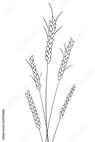 Vector linear field with ears. Wheat field. Wheat of different heights
