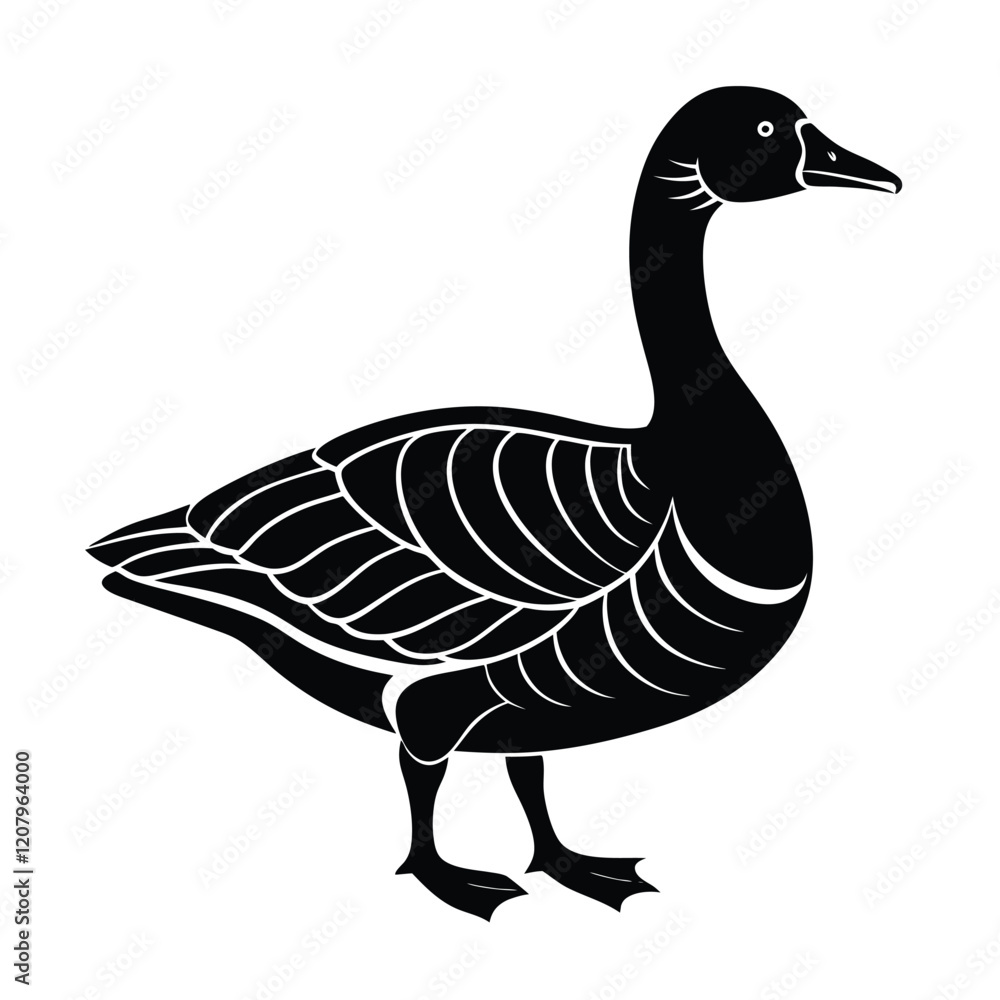 Obraz premium goose isolated on white