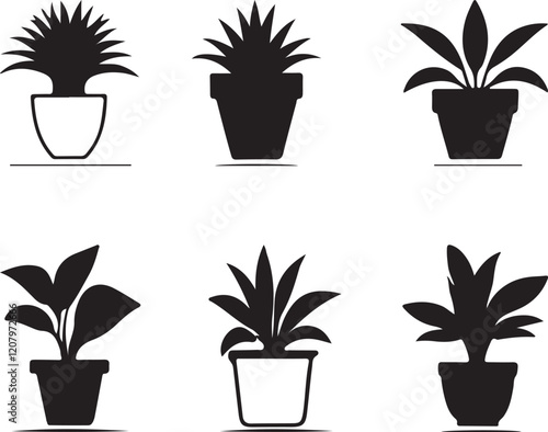 plant in pots