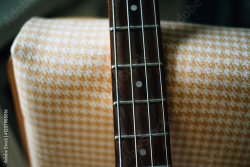 Photography electric black guitar neck close up