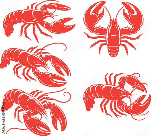 crayfish illustration