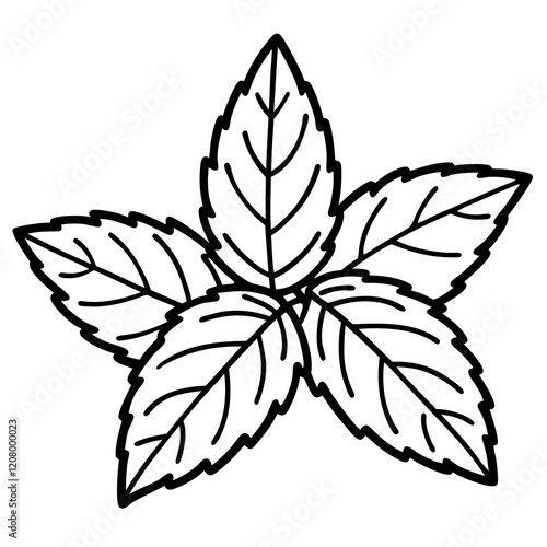 Minimalist Mint Leaf Design