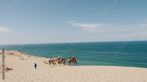 Tourists enjoy a camel ride along the beach in Morocco, North Africa. The endless blue sea and sky create a stunning background. This exotic adventure is perfect for travel and tourism videos.