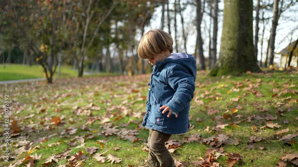 Child Exploring Autumn Park - 3-Year-Old Boy in Blue Jacket Among Orange Leaves Child Exploring Autumn Park - 3-Year-Old Boy in Blue Jacket Among Orange Leaves