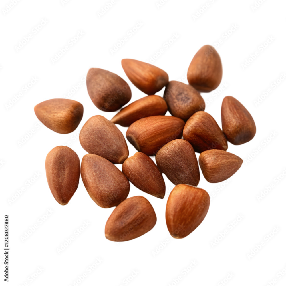 Obraz premium cedar nuts on transparent background