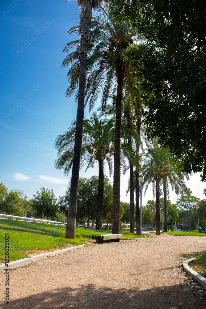 Obraz premium Empty park in Cordoba, Spain.