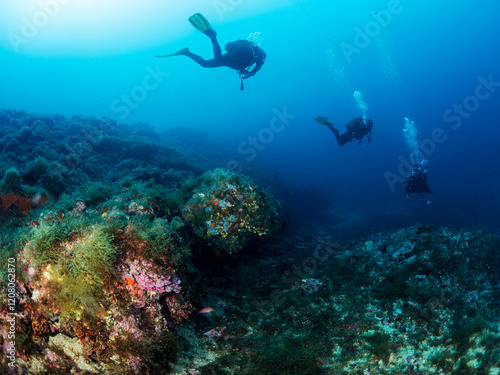 Wallpaper Mural group of three scuba divers in wetsuits diving near rough rocky formation with surface covered with seaweed and corals in deep blue sea with clear water, concept of nature and underwater adventure Torontodigital.ca