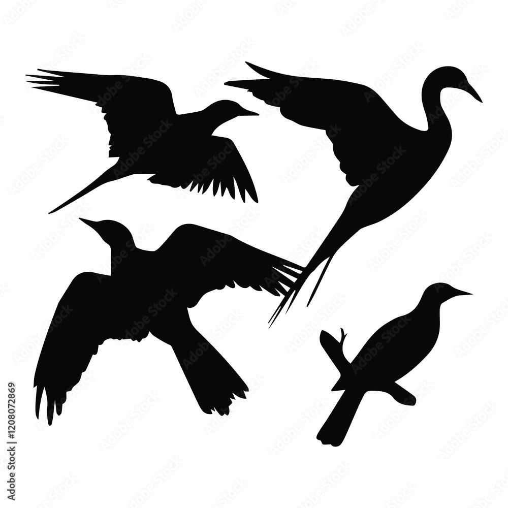 Obraz premium Bird silhouette vector icon logo. 