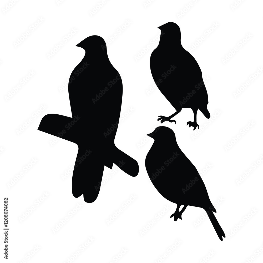 Obraz premium Bird silhouette vector icon logo. 