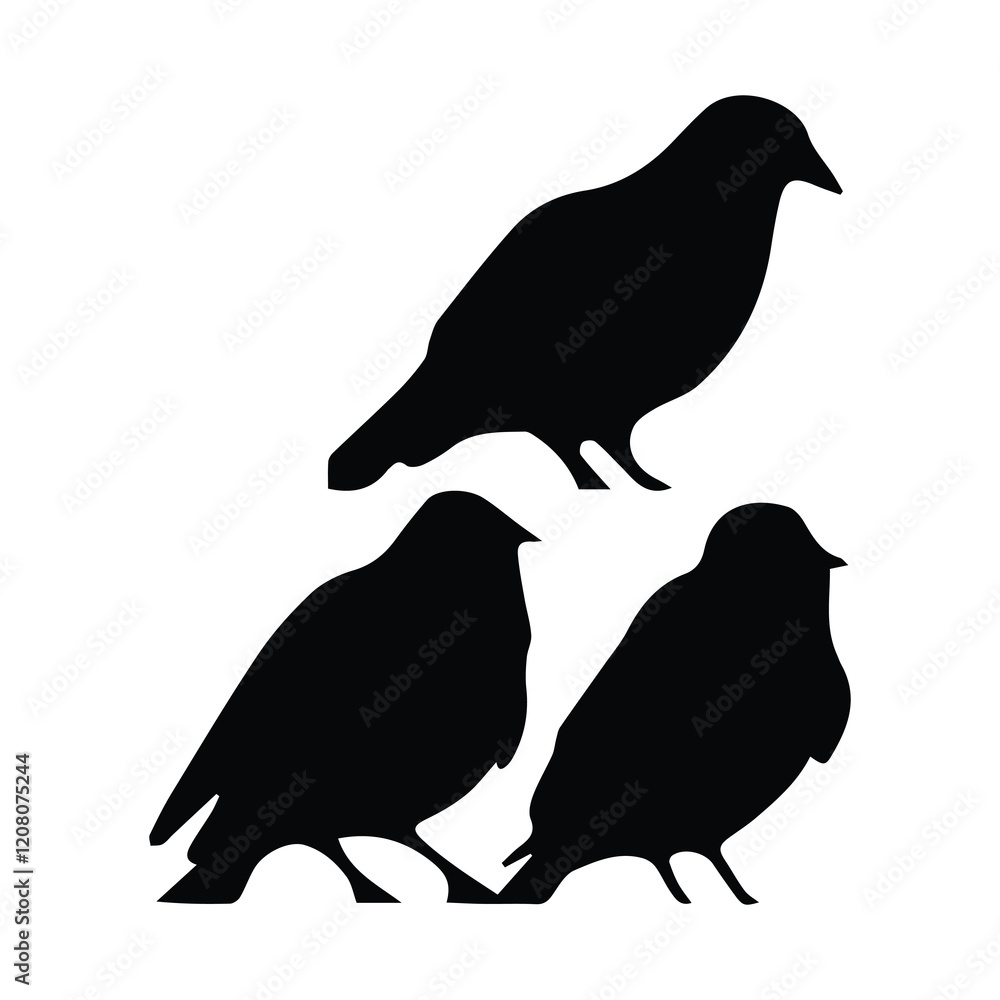 Obraz premium Bird silhouette vector icon logo. 