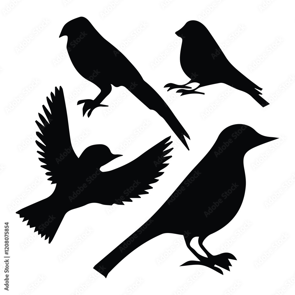 Obraz premium Bird silhouette vector icon logo. 