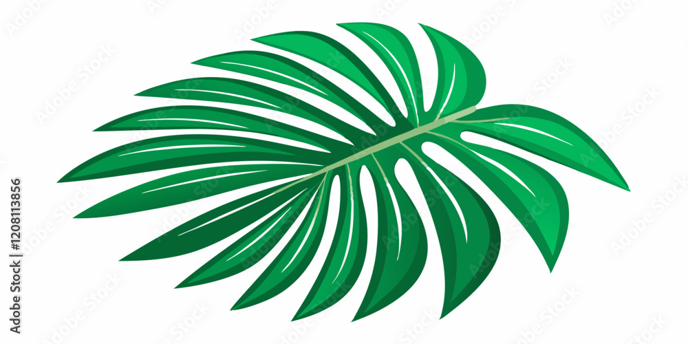 Tropical green palm leaf cut out, on white background. Tropical green palm leaf cut out, on white background.
