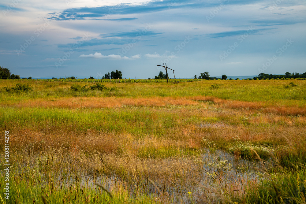 Obraz premium Graslandschaft