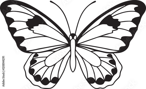 Black and white butterfly