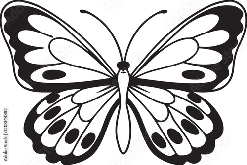 Black and white butterfly