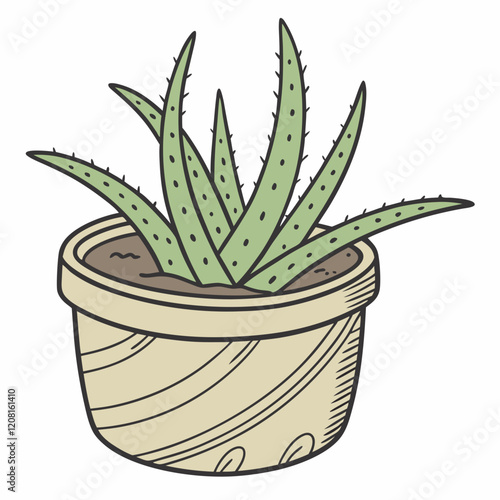 aloe vera plant