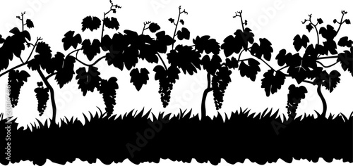 Stylized Vector Silhouette of Grapevines with Bunches of Grapes - Ideal for Wine-Related Designs