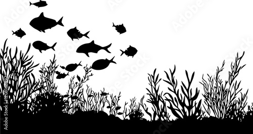 Silhouette of Fish Swimming Amidst Aquatic Plants in Minimalistic Black and White Style for Artistic Illustrations
