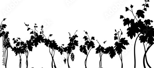 Silhouette of Vineyards: Elegant black outline of grapevines against a white background, perfect for wine-related projects.