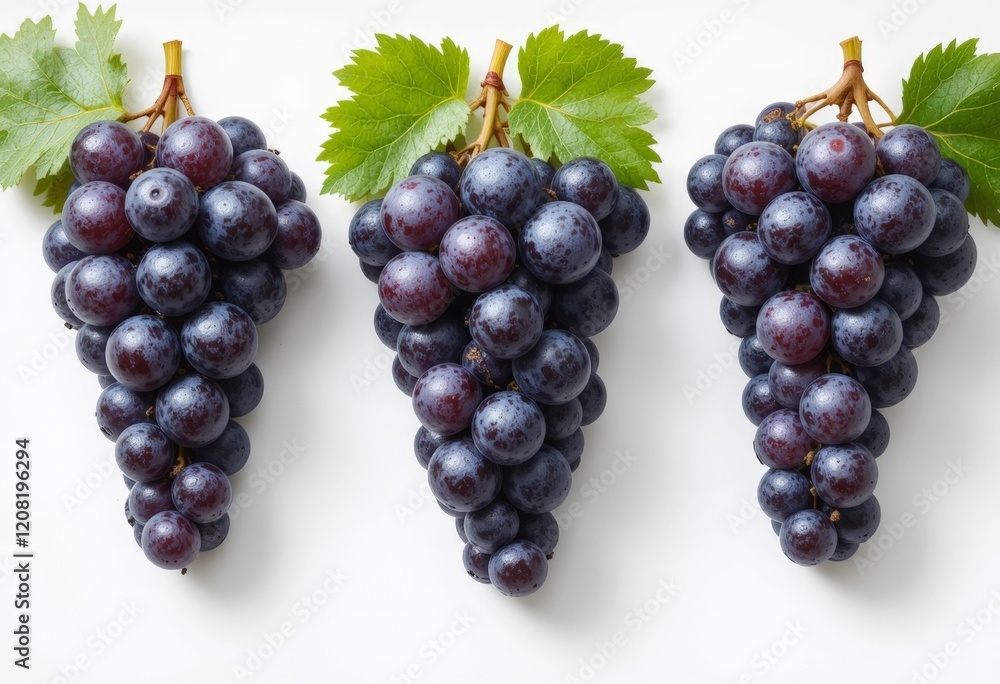 Fresh grape bunches with juicy berries of rich color, located on a clean white background Fresh grape bunches with juicy berries of rich color, located on a clean white background