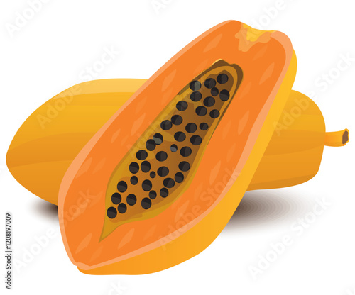 isolated papaya on white background vector design