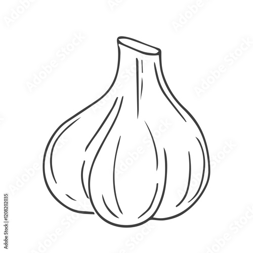 Garlic hand drawn vector illustration sketch. Isolated garlic, cloves